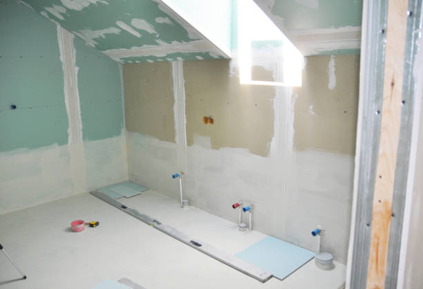 Professional Mold Removal in Franklin, VA