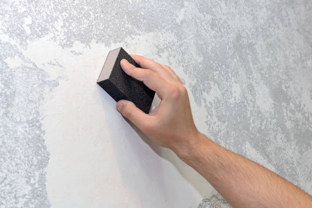 Best Mold Documentation for Insurance Claims  in Franklin, VA