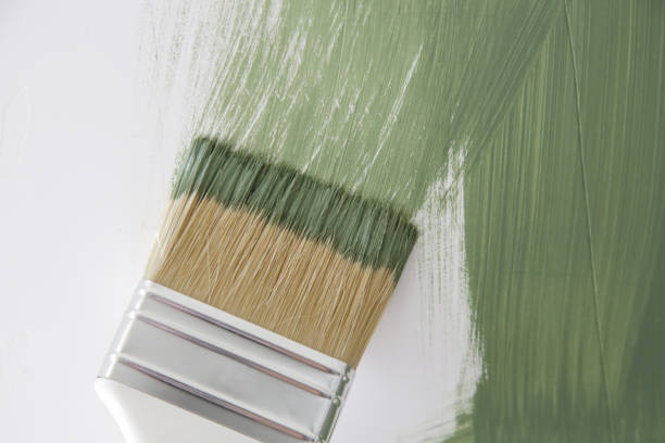 Mold Remediation for Rental Properties in Franklin, VA