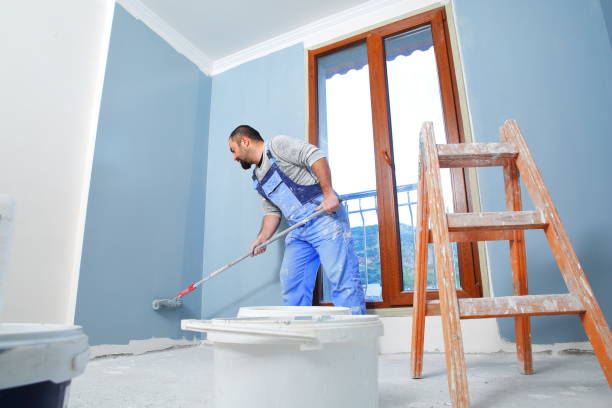 Best Mold Prevention Services  in Franklin, VA