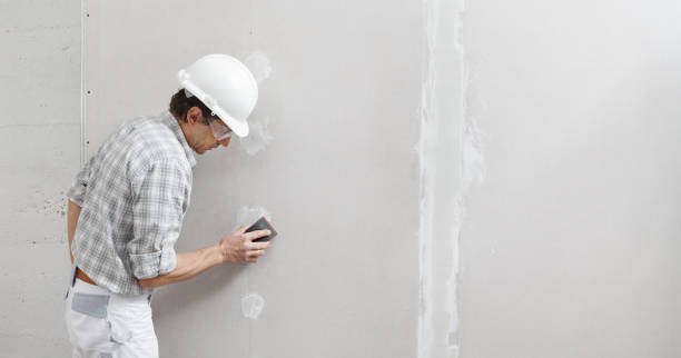 Best Airborne Mold Testing  in Franklin, VA