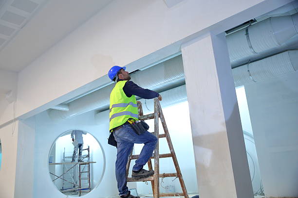 Best Emergency Mold Remediation  in Franklin, VA